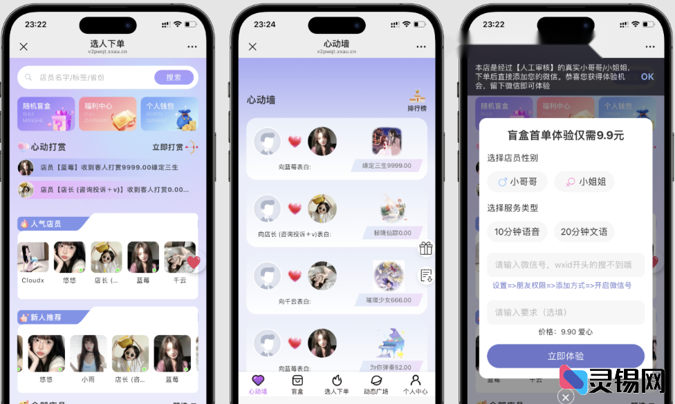 全新树洞陪玩盲盒源码 自定义功能更丰富-灵锡网