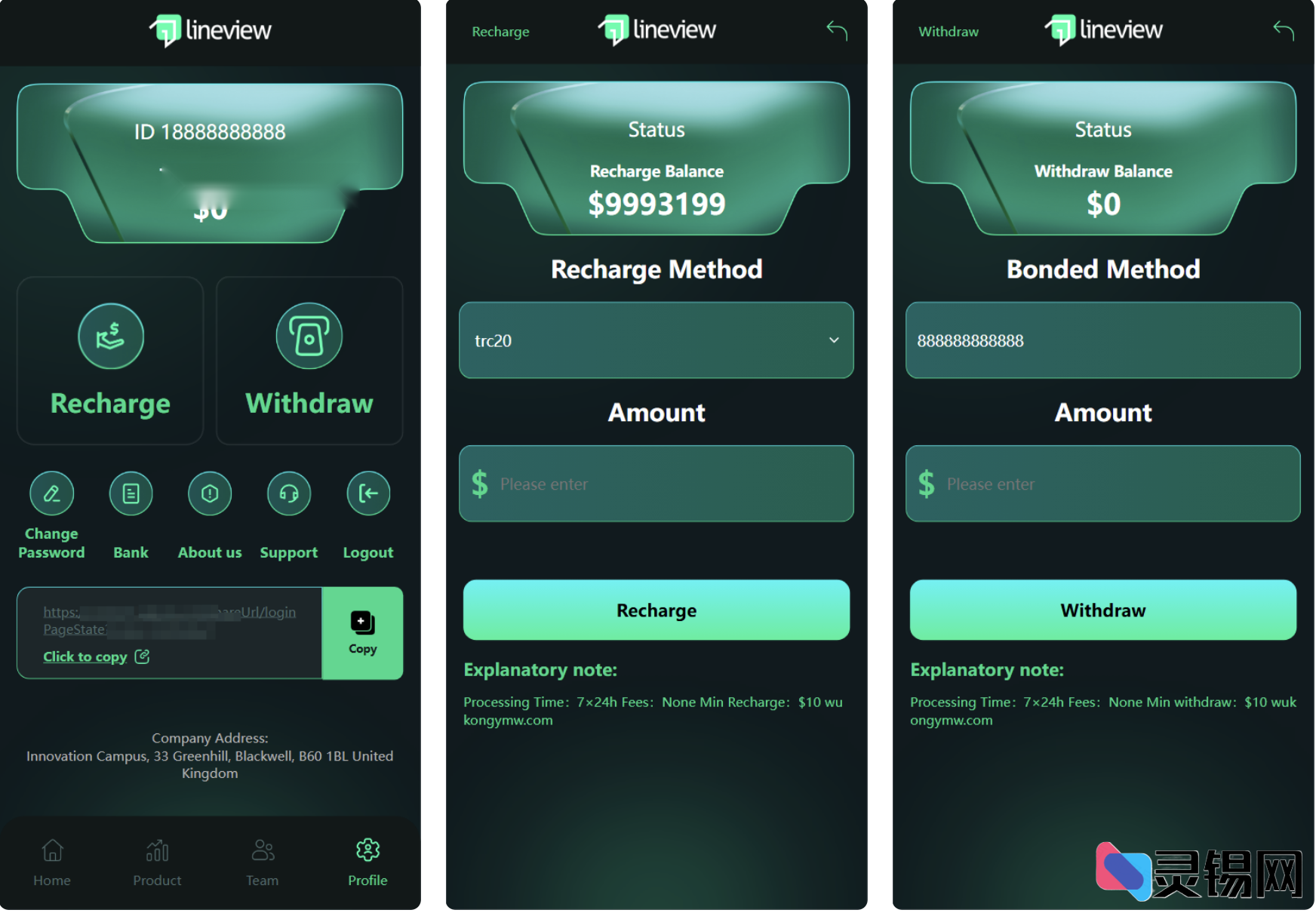 图片[2]-完整lineview海外汽车投资理财源码/前端html+后端PHP-灵锡网