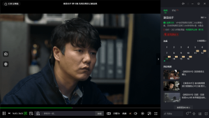 图片[2]-PC爱奇艺v10.3.0.6753绿色版-灵锡网