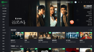 图片[1]-PC爱奇艺v10.3.0.6753绿色版-灵锡网