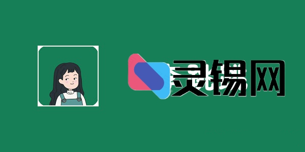 推荐个持续更新的李跳跳自定义规则-灵锡网