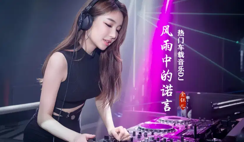 DJ《2025年车载必备326首抖音DJ嗨曲精选合集》-灵锡网