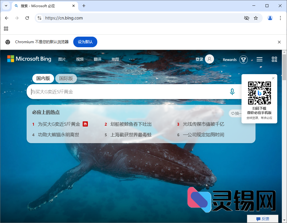 Ungoogled-Chromium   中文绿色版-灵锡网