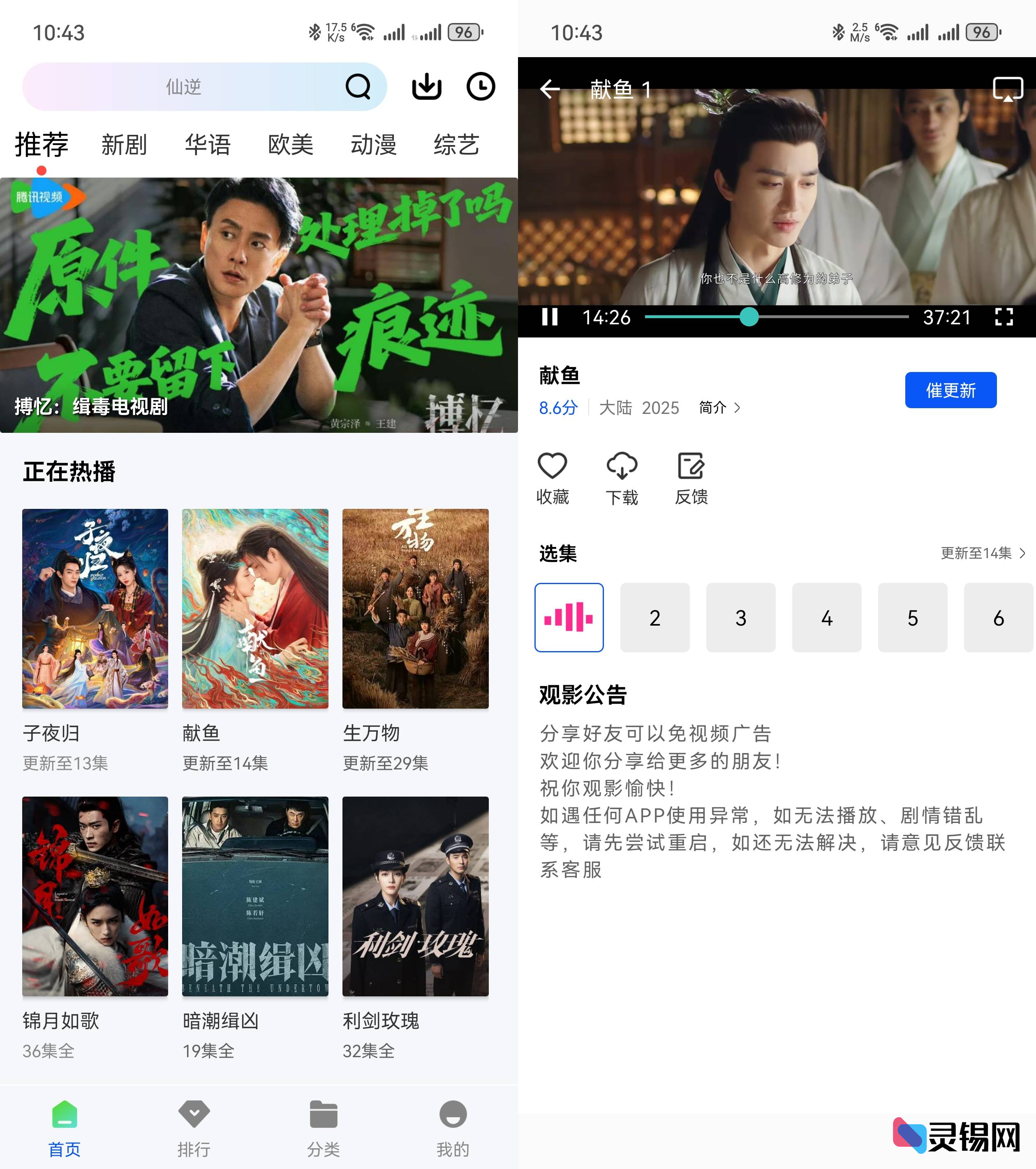 Android 长青视频  去更新纯净版-灵锡网
