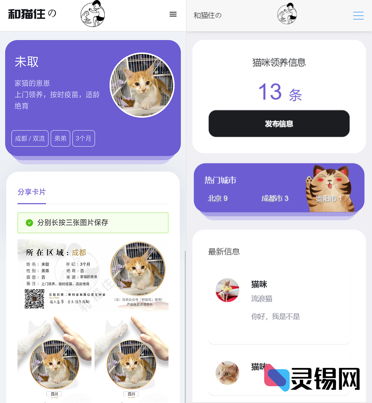 完整版流浪动物领养H5运营系统源码+APP封装方案放出-灵锡网