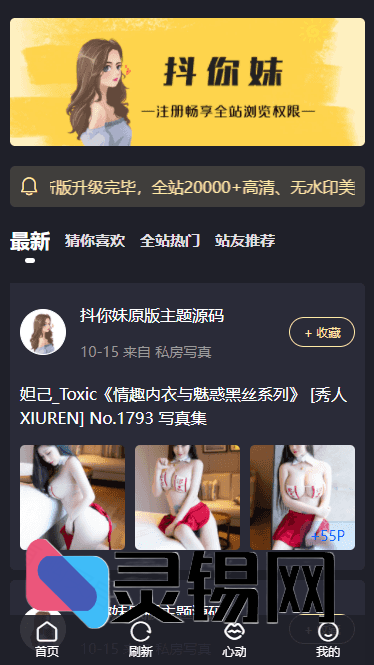 WordPress抖音样式图床神器：抖你妹原版主题源码+高收录SEO套图方案-灵锡网