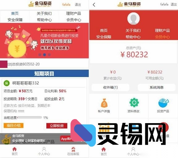 个人对个人理财程序示例：附详尽教程，非商业用途-灵锡网