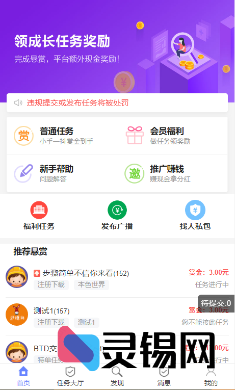 2025全新UI风格悬赏任务抢单源码，附赠一键安装教程-灵锡网