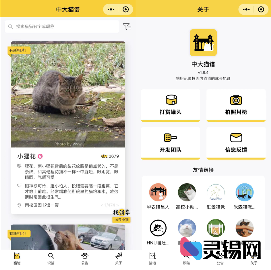 记录与发布校园流浪猫动态的小程序全套源码-灵锡网