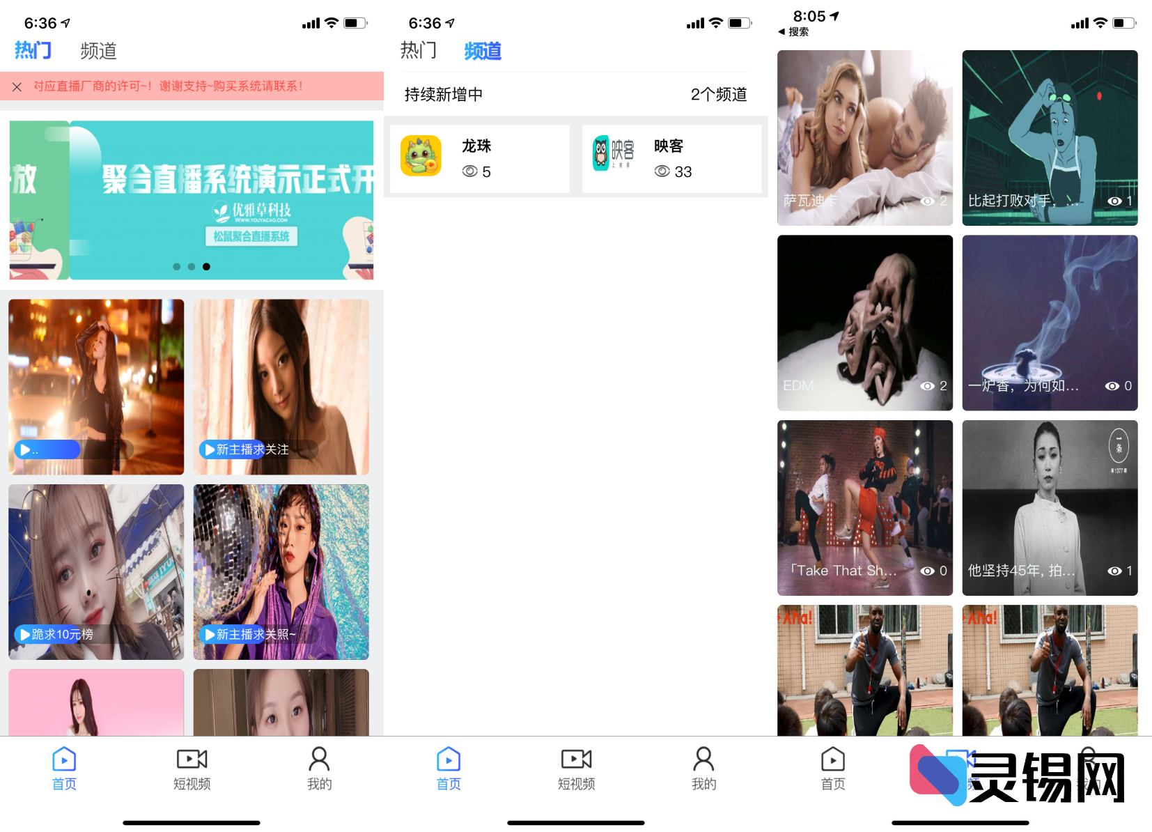 YYC松鼠直播全能源码：电商带货＋网红社交＋竞技娱乐全打通-灵锡网